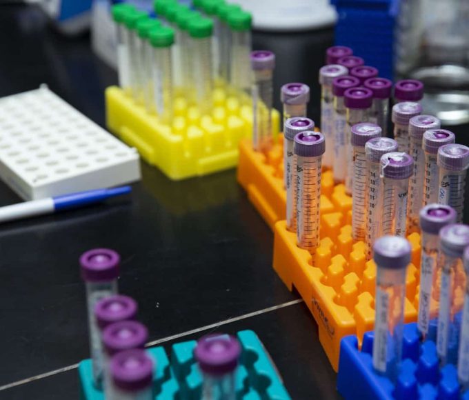 The Books We Read Too Late And That You Should Read Now